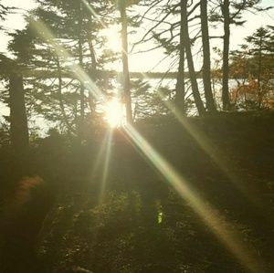 Meet your Posher, Gavin